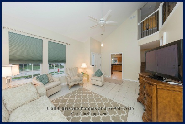 Hang out with the family in the light and airy living room of this condo for sale in Northeast OH.